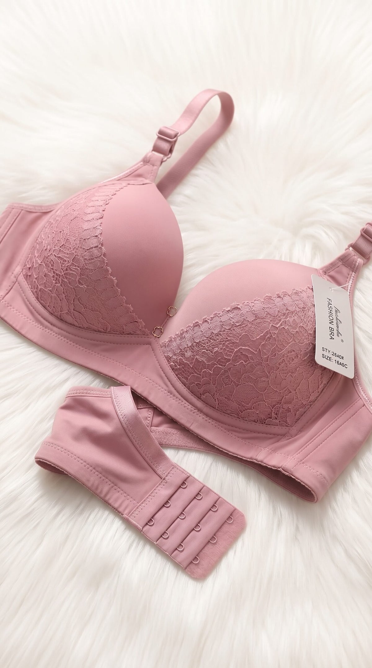 Lace Edge Bra — Available in 6 Colors image